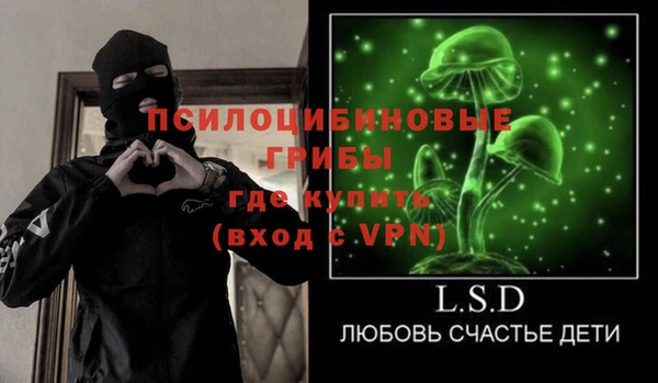 тгк Корсаков
