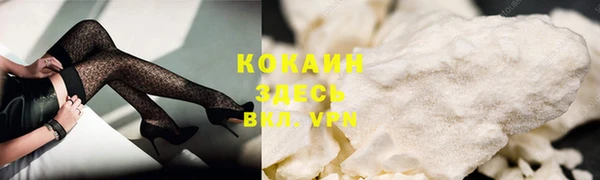 тгк Корсаков