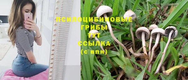 прущие крисы Коряжма