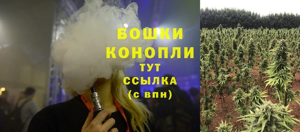 прущие крисы Коряжма