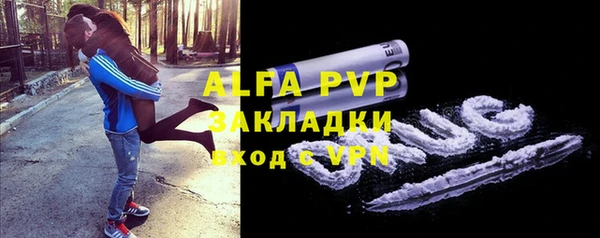 твердый Заводоуковск