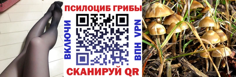 закладки  Шимановск  Галлюциногенные грибы прущие грибы 